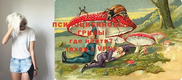 MESCALINE Няндома