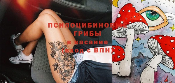 сатива Абинск