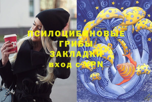 скорость Абаза