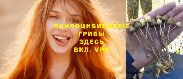 сатива Абинск